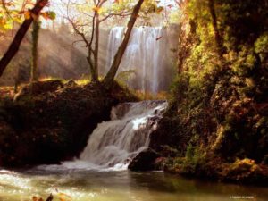 Monasterio de Piedra
