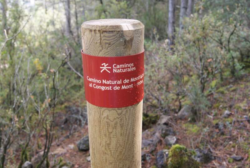 Montfalcó pasarelas - Sierra del Montsec
