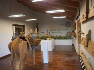 BIOTA MUSEALIZACION PALACIO